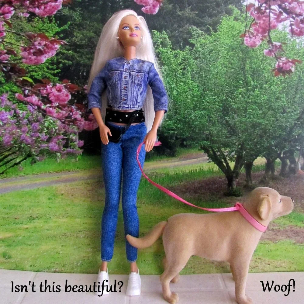 BARBIE + DOG, ARTICULATED DOLL w CLOTHES; SEE THEIR SWEET STORY!